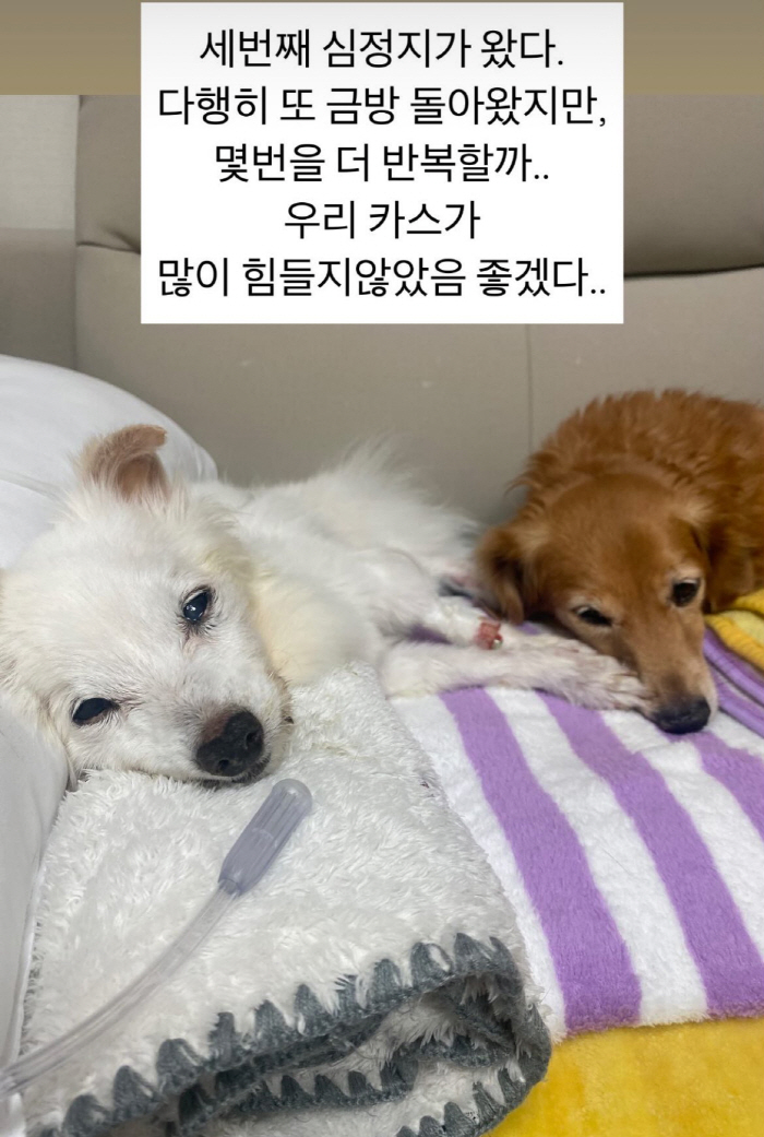 Kim Ha-young, who is about to get married, is deeply sad, 'Third cardiac arrest, I hope for a miracle.'
