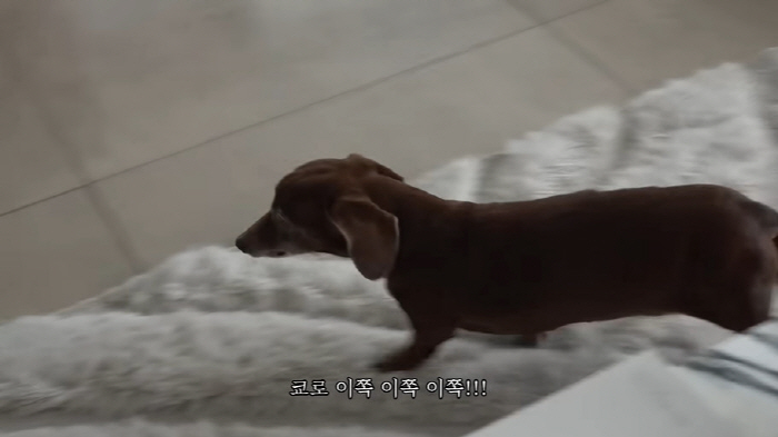 Choo Sung-hoon said that the answer is to call his daughter's love and pet dog, so the bathroom is the most convenient (Choo Sung-hoon)