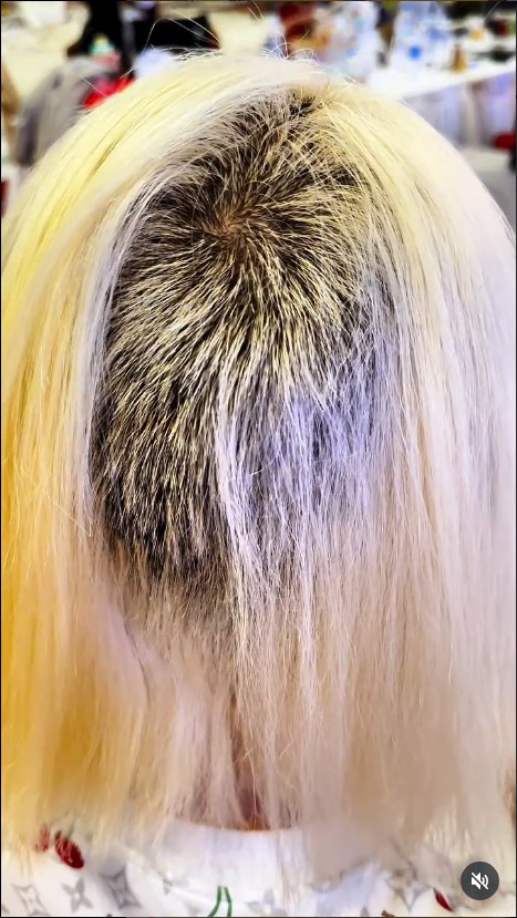 DJ Soda's bleaching accident is unfair, but you're threatening the hair salon?I'll give you 5 million won. Write it down