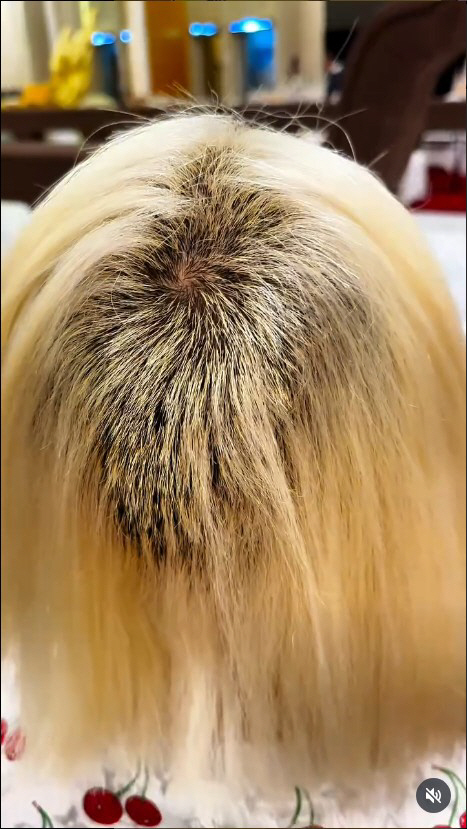 DJ Soda's bleaching accident is unfair, but you're threatening the hair salon?I'll give you 5 million won. Write it down