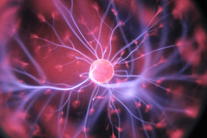 Finding new material to revive memory...Korean Researchers Confirm Dementia Suppression Effect