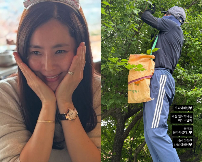 'Please take care of the plum.' At the request of her daughter-in-law, Han Chae-ah..Cha Bum-kun, I got on the tree right away