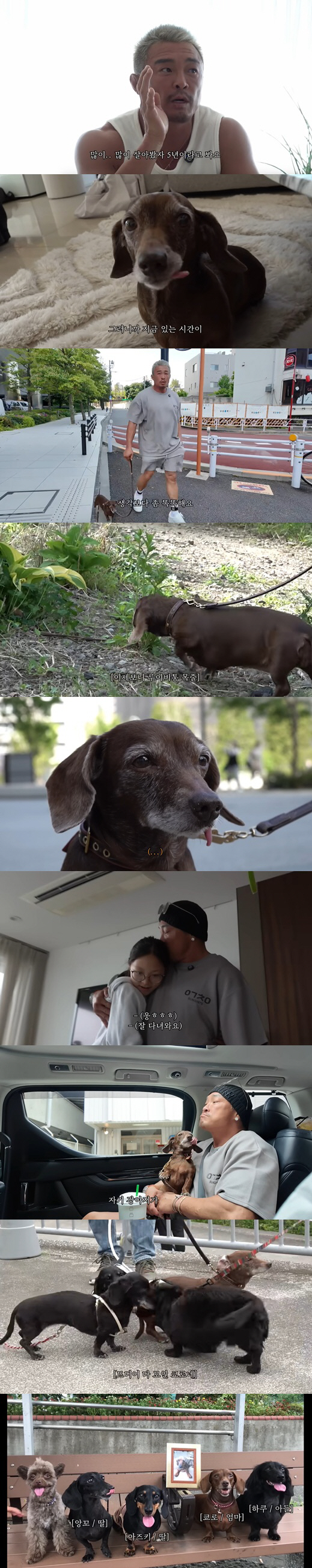 Choo Sung-hoon wants to make memories before getting sick from 14-year-old old dog Kyoro