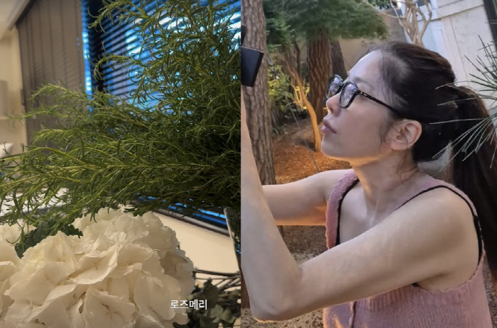 Ko Hyun-jung grows herbs herself. A plen terrier full of houses where she lives alone