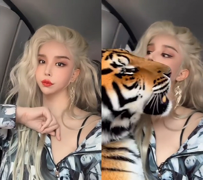 Harisu Surprise at Amazing Pet Video...You're raising a tiger?
