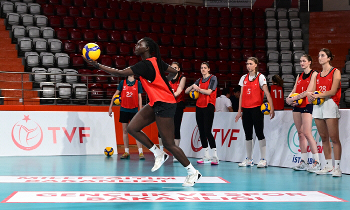  V-League foreigners and aquos will sign free agency now! Abolish the Tryout