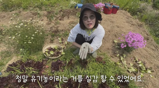 Oh Yeon-soo reveals a large garden..Lettuce and potatoes are grown on the weekend farm. Pork belly party
