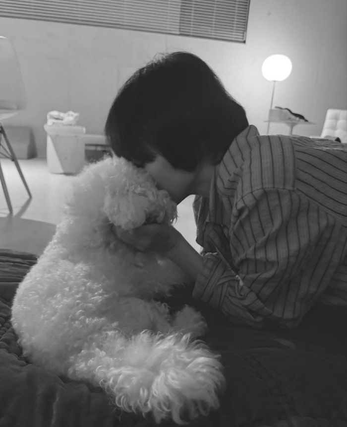 Song Hye-kyo kisses with longing 'I missed you'..Kim Hye-soo → Uhm Jung-hwa also answered '♥'