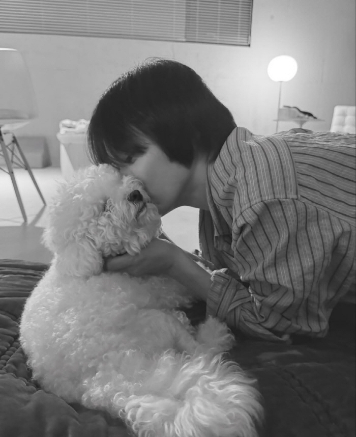 Song Hye-kyo kisses with longing 'I missed you'..Kim Hye-soo → Uhm Jung-hwa also answered '♥'