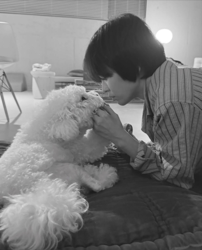 Song Hye-kyo kisses with longing 'I missed you'..Kim Hye-soo → Uhm Jung-hwa also answered '♥'