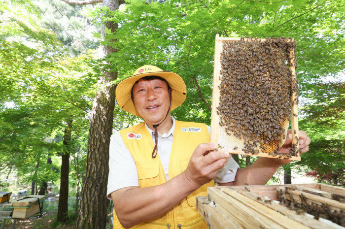 LG strengthens ESG activities such as raising native bees to save natural ecosystems!!