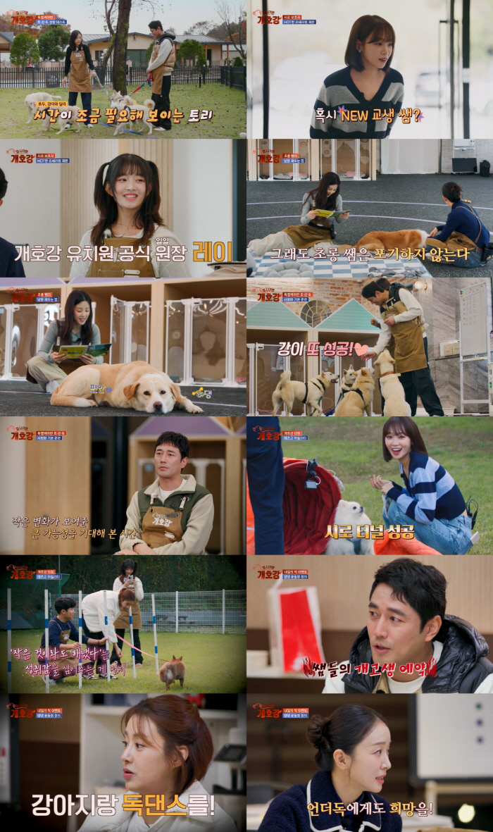 Actor Cho Han-sun's education enthusiasm without giving up on the unexpected current situation of being represented by a dog company (Kae Ho-gang)