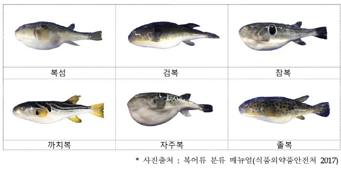 Addiction accident again...The pufferfish, the tetrodotoxin, is so strong