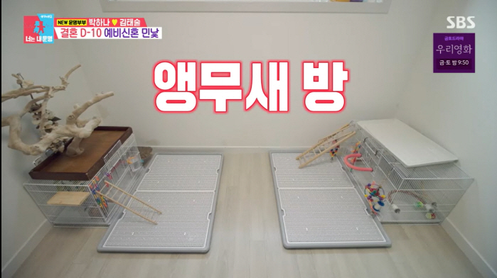 Park Ha-na, replaced before marriage ♥ A man free from Kim Tae-sul is my ideal type (Dongsang Imong)