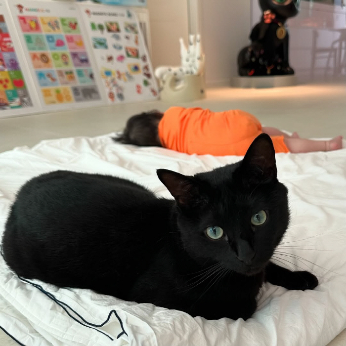 Park Soo-hong ♥ Kim Daye's daughter took a nap with her pet cat, Da-hong..My lucky ones