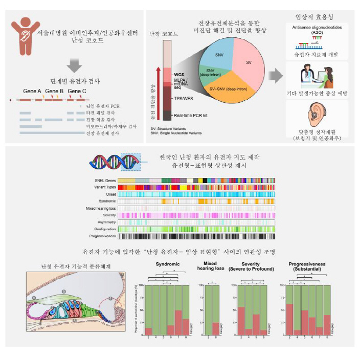 Seoul National University Hospital discovers deaf mutations and builds a genetic map of hearing loss in Koreans