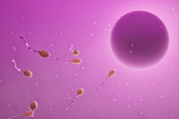 Anamnesia couple got pregnant after 18 years with AI technology...It's like finding a needle in 10 football fields