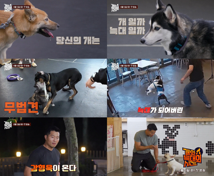 Kang Hyung-wook, who escaped from power abuse, made a comeback in a year with a dogwolf poem