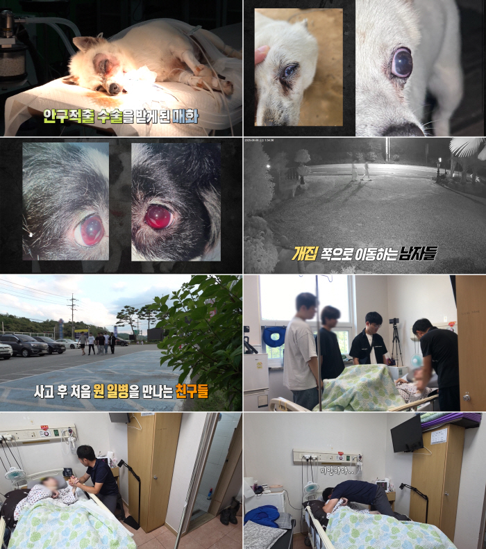 Cruelly killing your dog..The perpetrator is in the 20th Marine Corps, who is in a hurry to hand over the responsibility