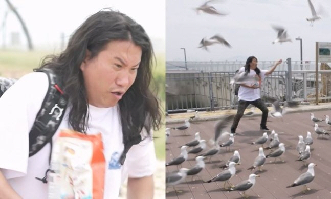 'Nahonsan' Lim Woo-il attacks a flock of seagulls as he opens a shrimp snack...'I wanted to give it to you, but it feels like it's been taken away'