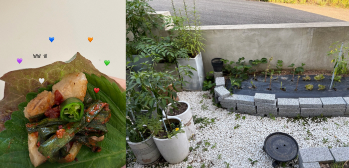 Seo White and ♥ Lim Chang-jung's homemade garden open bricks are also piled up