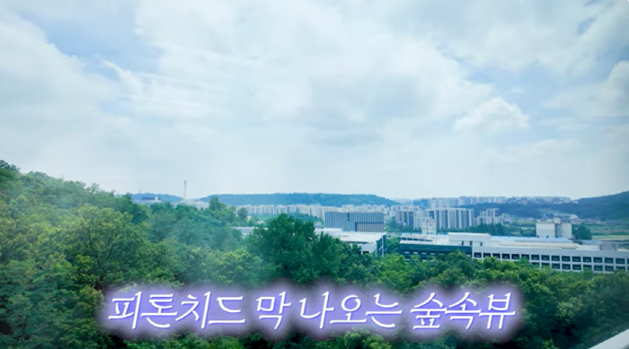 Song Eun-i, the owner of 15.7 billion buildings, unveiled the forest view apartment for the first time...10 million won TV in the living room