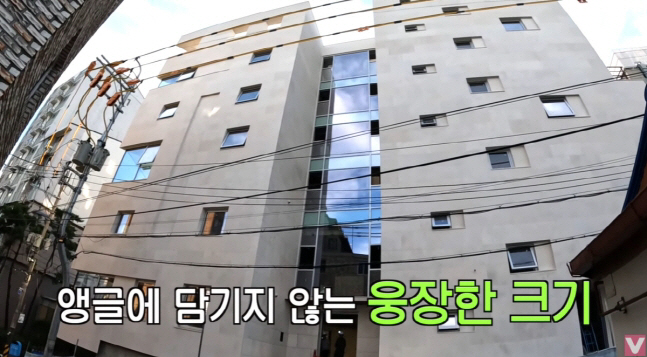 Song Eun-i, the owner of 15.7 billion buildings, unveiled the forest view apartment for the first time...10 million won TV in the living room
