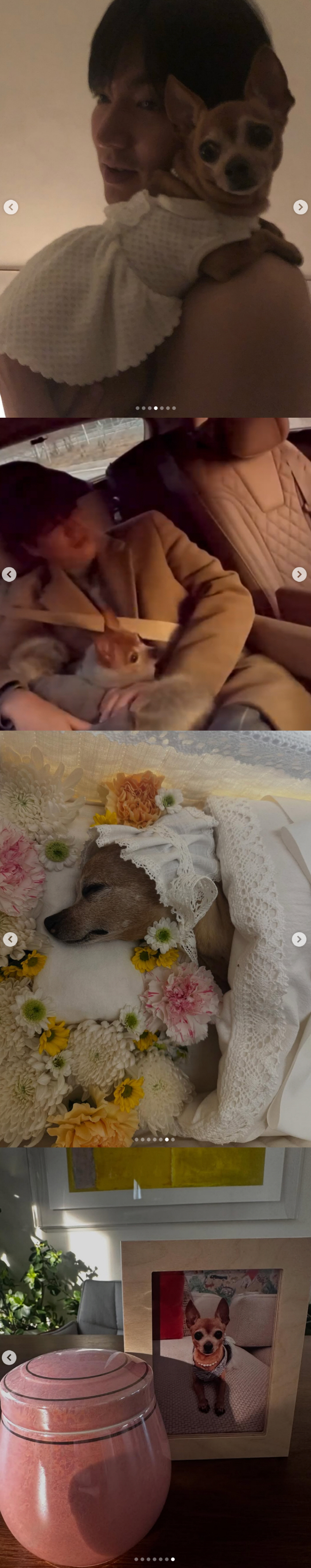 Lee Min-ho, Choco is back in the arms of nature after 16 years of heartbreaking breakup, thank you for your love