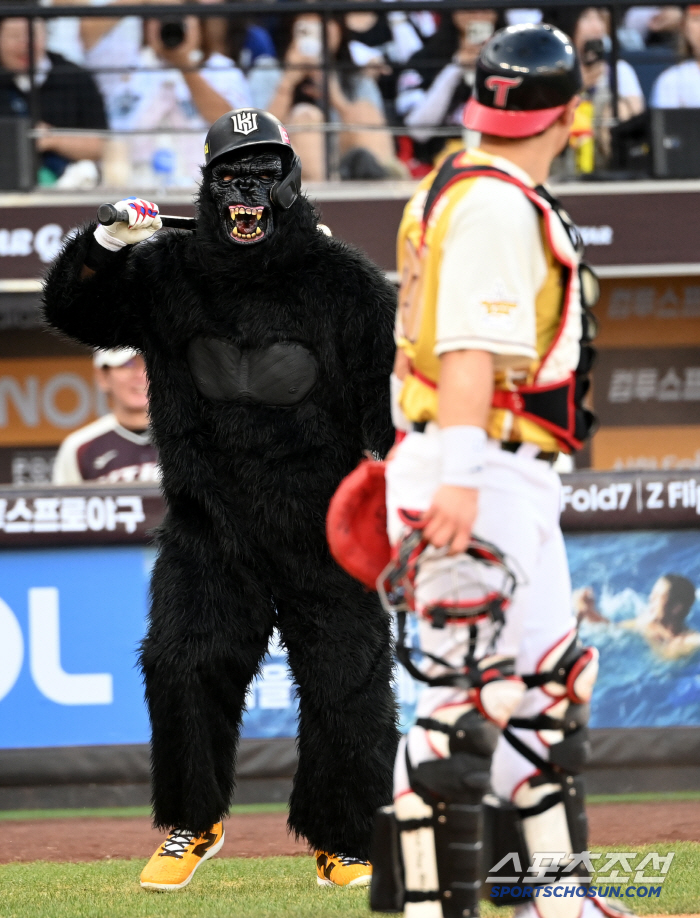  An Hyunmin gorilla is on the ground