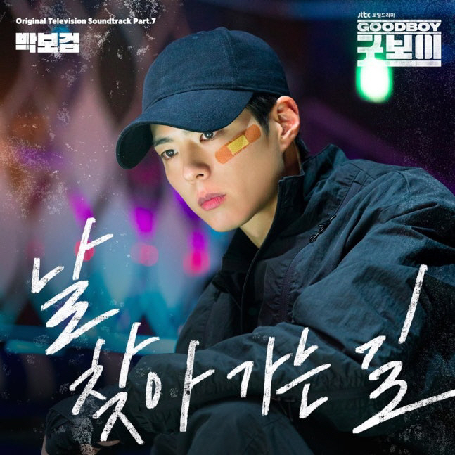 Park Bo-gum Touches Hearts with Self-Sung Good Boy OST