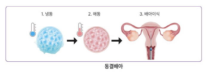 Nearly 800,000 embryos produced last year...There are more than 500,000 pieces of disposal