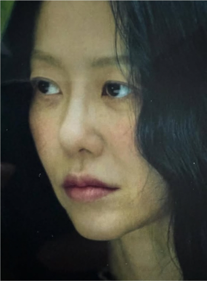 Ko Hyun-jung, a time when she looks like a retrograde preservative and won't come back