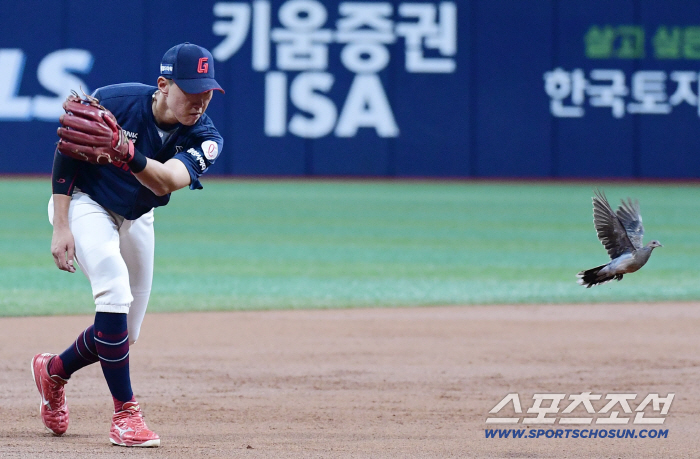 How did pigeons come into Gocheok Dome? Pleasant happening Lotte Kiwoom, pigeon flew in Gocheok Dome during the game (Gocheok site)