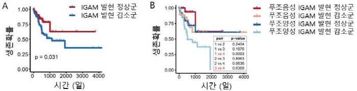 Oral Bacterial Peugeot Bacteria Deteriorates Colorectal Cancer Prognosis