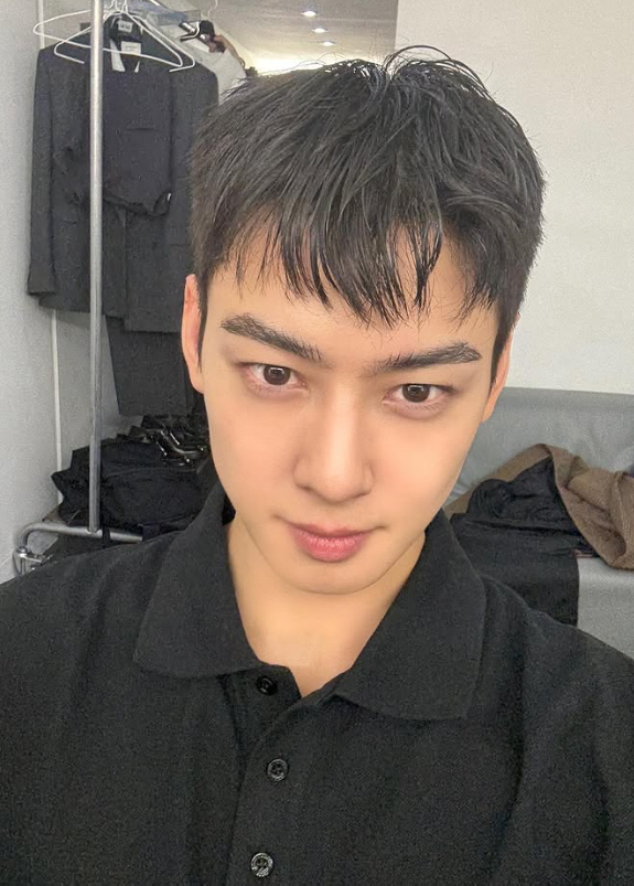  Cha Eun-woo received the last blue dragon ranking before joining the military, checking his fan's love