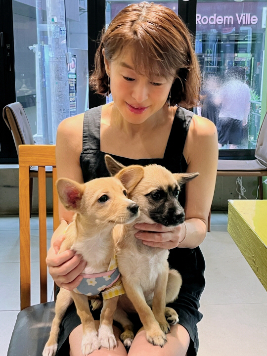Ye Ji-won, a dog miraculously rescued from the forest fire damage site..a reunion with a sister dog