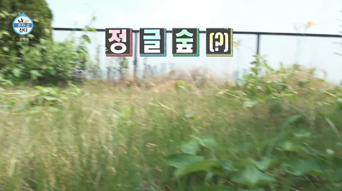 Height, jungle forested 3.8 billion Han River view garden 37 degrees open the lawn (Nahonsan)