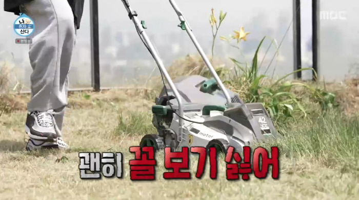 Height, jungle forested 3.8 billion Han River view garden 37 degrees open the lawn (Nahonsan)