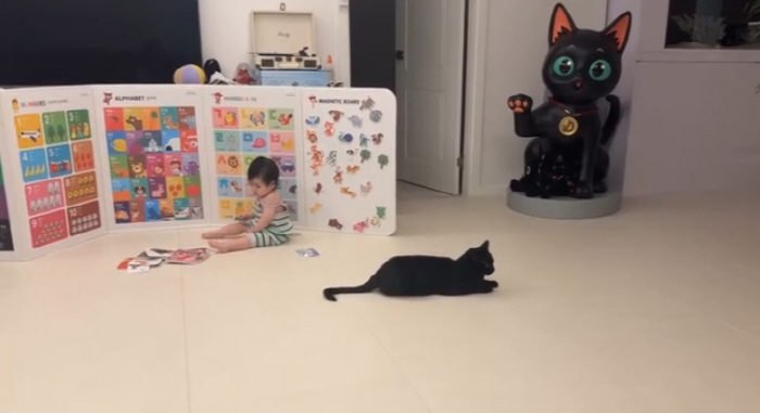 Park Soo Hong's daughter Jay and cat Da Hong are perfect harmony..a lovely brother and sister