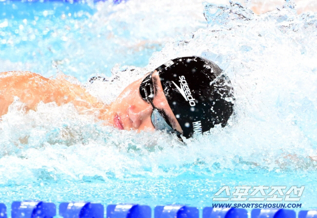 Four consecutive podiums! Hwang Sun-woo is going to the final round of the 200m freestyle semi-final at 14484!