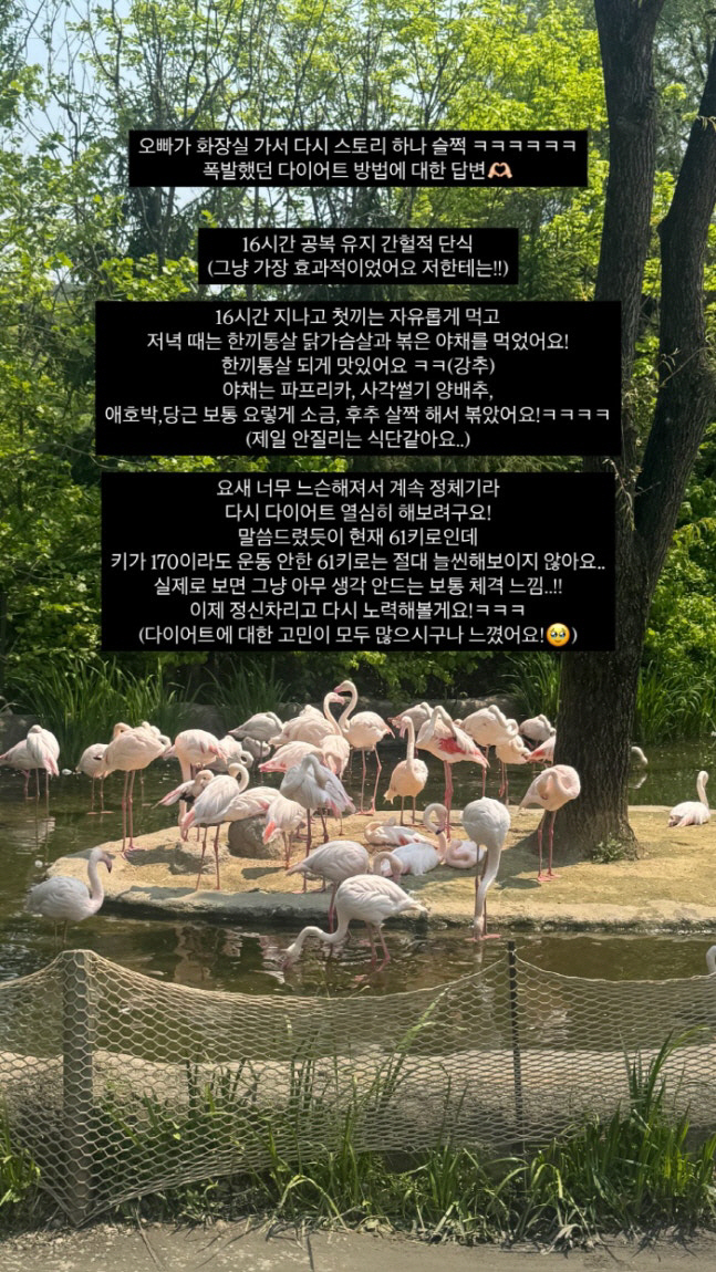 Yoon Nam-ki ♥ Lee Da-eun, Exercise NO 82 → 57 kg Losing Success Intermittent Fast is the best