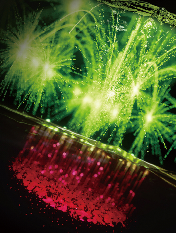 Development of Smartphone Bladder Cancer Early Diagnosis Kit...Close to 90% accuracy