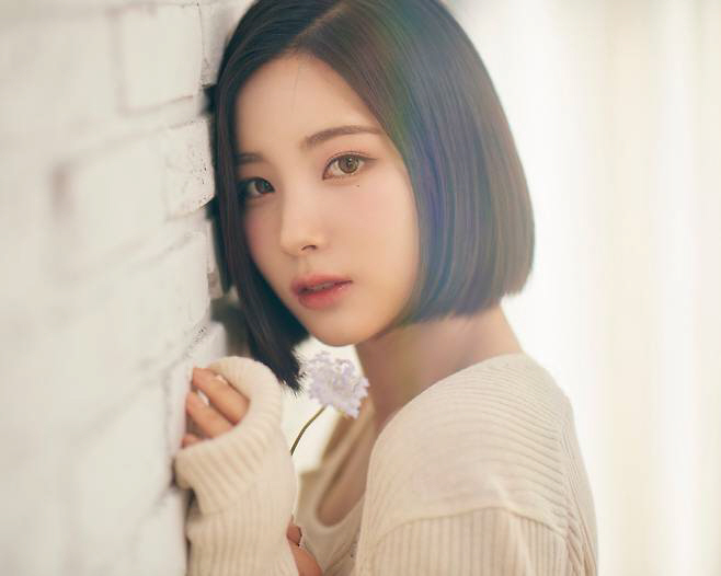 I met my husband who is 15 years older while working in a bar...Retired Alice Sohee Is Up With Rumors