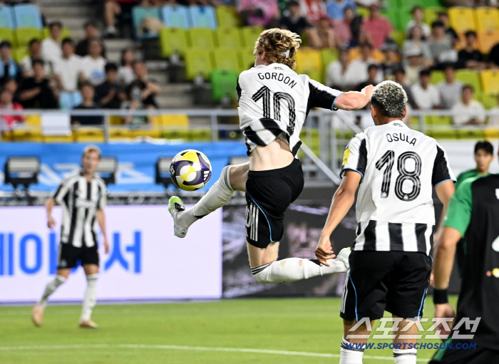  Gordon, fly up
