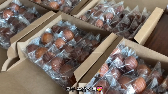 Shin Se-kyung, special fan love, made 260 cookies herself and congratulated her on her birthday (Shin Se-kyung)