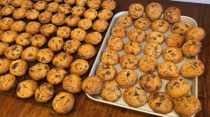 Shin Se-kyung, special fan love, made 260 cookies herself and congratulated her on her birthday (Shin Se-kyung)
