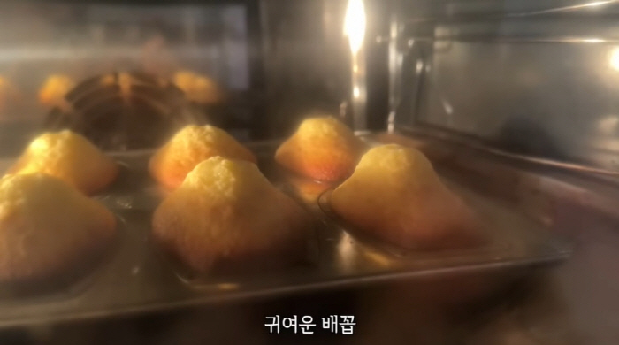 Shin Se-kyung, special fan love, made 260 cookies herself and congratulated her on her birthday (Shin Se-kyung)
