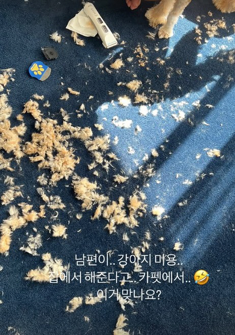 Han Ye-seul, the devastated dog hair in the house...10 years younger ♥ work, is this right?