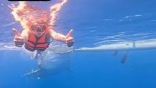 Hyun-young is surprised by the whale shark approaching behind her back...Did you come to eat