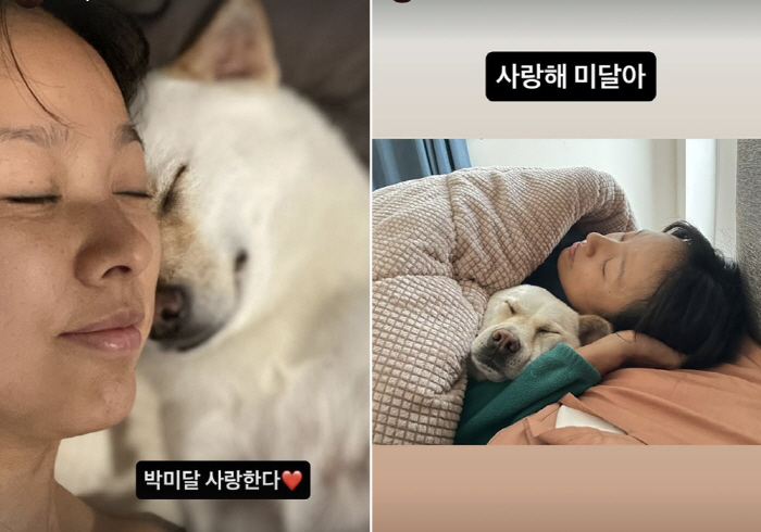 Lee Sang-soon ♥ Lee Hyo-ri Laughs and Laughs in Seoul with Dogs...I love you, I don't
